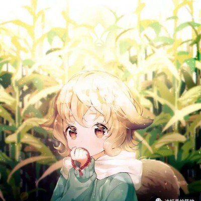 张雪机车申报3款摩托车新产品